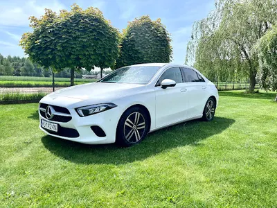 Misiek Cars Wypożyczalnia Aut PREMIUM / OSOBOWE / BUS / DO ŚLUBU / CHŁODNIA